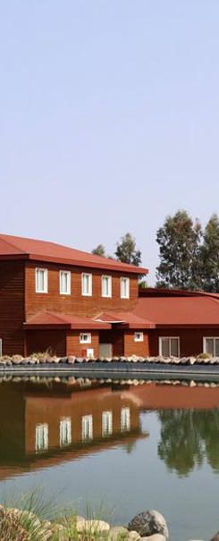 UPM